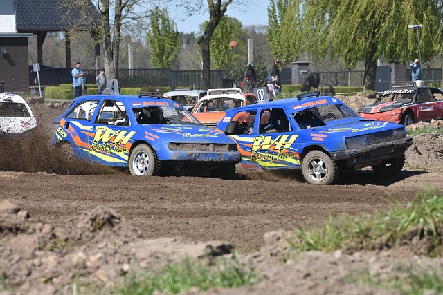 的复杂政治 的复杂政治