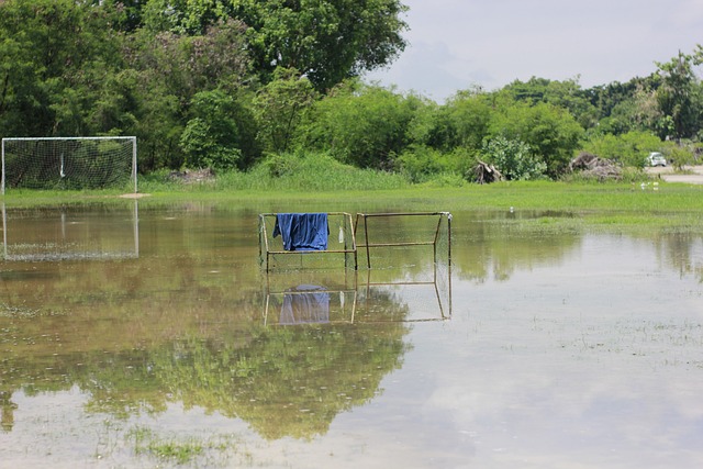 球队的长远 球队的长远