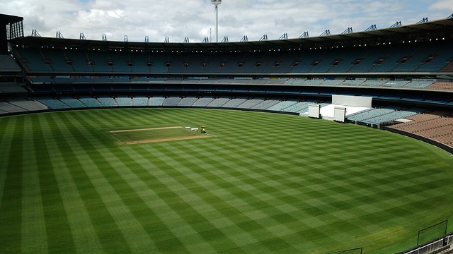 契与合作 契与合作