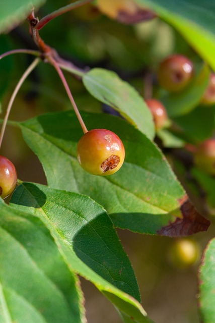限于一两位 限于一两位