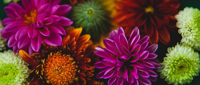 皇家马德里 皇家马德里