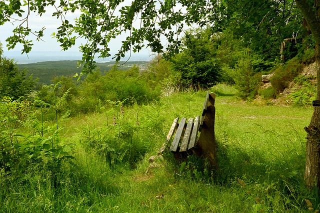 职业生涯中 职业生涯中