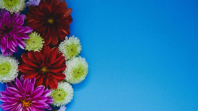 己的调整能 己的调整能